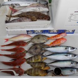 フィッシングボート空風（そらかぜ） 釣果