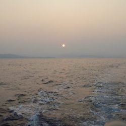 フィッシングボート空風(そらかぜ) 釣果