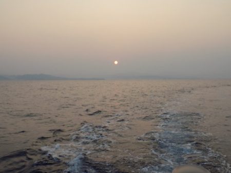 フィッシングボート空風(そらかぜ) 釣果