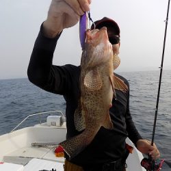 フィッシングボート空風(そらかぜ) 釣果