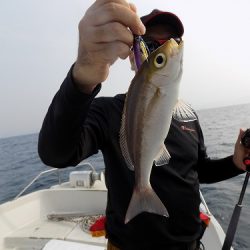 フィッシングボート空風(そらかぜ) 釣果