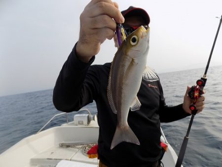 フィッシングボート空風(そらかぜ) 釣果