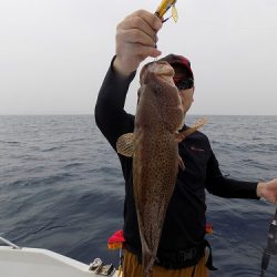 フィッシングボート空風(そらかぜ) 釣果