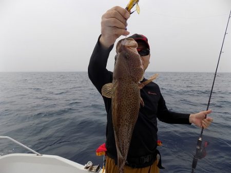 フィッシングボート空風(そらかぜ) 釣果