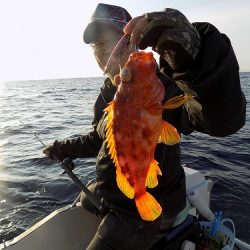 フィッシングボート空風(そらかぜ) 釣果