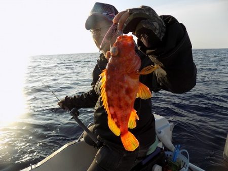 フィッシングボート空風(そらかぜ) 釣果
