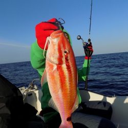 フィッシングボート空風(そらかぜ) 釣果