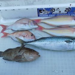 フィッシングボート空風(そらかぜ) 釣果