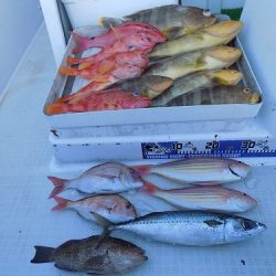 フィッシングボート空風(そらかぜ) 釣果