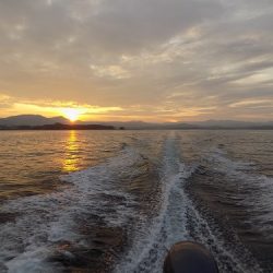 フィッシングボート空風(そらかぜ) 釣果