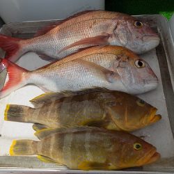 フィッシングボート空風(そらかぜ) 釣果