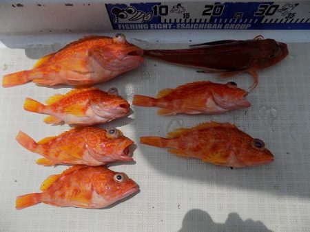 フィッシングボート空風(そらかぜ) 釣果