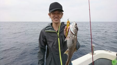 ブルーピア 釣果