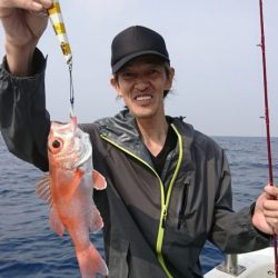 ブルーピア 釣果