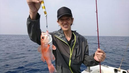 ブルーピア 釣果