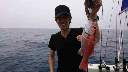 ブルーピア 釣果