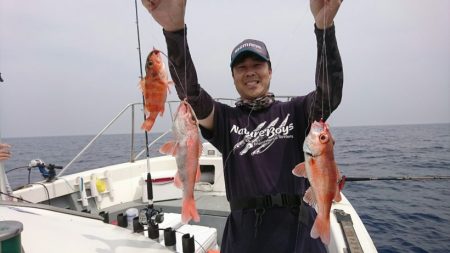 ブルーピア 釣果