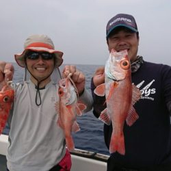 ブルーピア 釣果