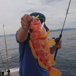 ブルーピア 釣果