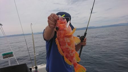 ブルーピア 釣果