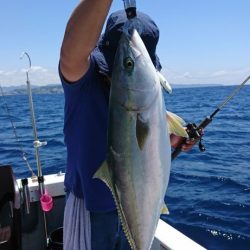 ブルーピア 釣果