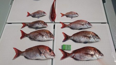 フィッシングボートACE（エース） 釣果