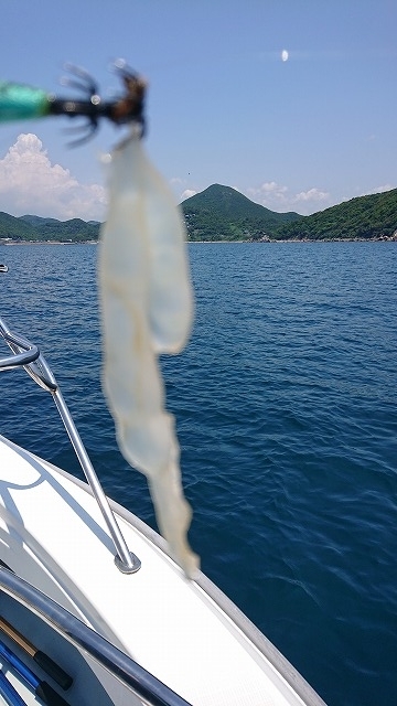 フィッシングボートACE(エース) 釣果