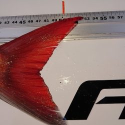 フィッシングボートACE(エース) 釣果