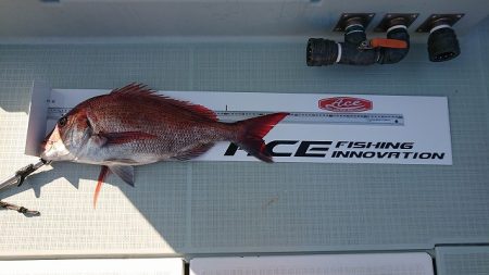 フィッシングボートACE(エース) 釣果