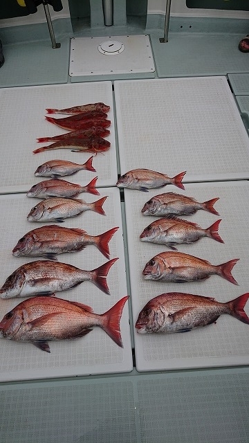 フィッシングボートACE（エース） 釣果