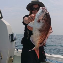 フィッシングボートACE(エース) 釣果