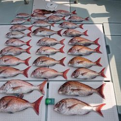 フィッシングボートACE(エース) 釣果