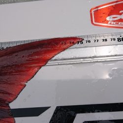 フィッシングボートACE（エース） 釣果