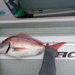 フィッシングボートACE（エース） 釣果