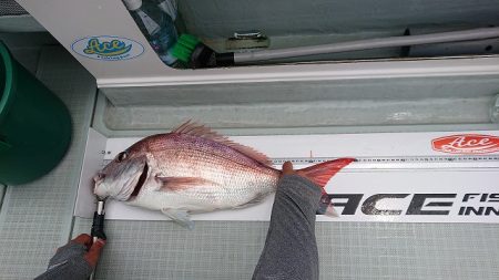 フィッシングボートACE（エース） 釣果