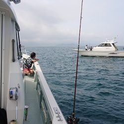 フィッシングボートACE(エース) 釣果