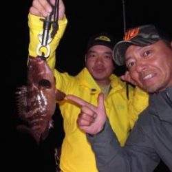 シーマジカル 釣果