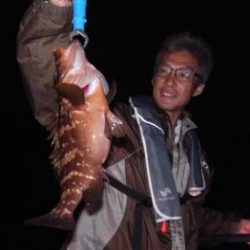 シーマジカル 釣果