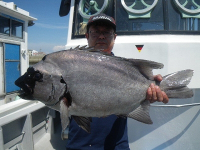 磯部釣船 直栄丸 釣果