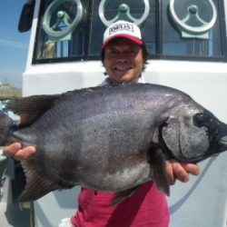 磯部釣船 直栄丸 釣果