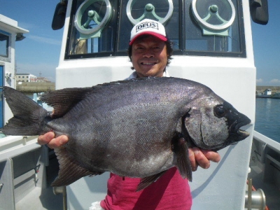 磯部釣船 直栄丸 釣果