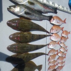 磯部釣船 直栄丸 釣果