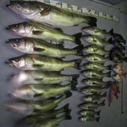 磯部釣船 直栄丸 釣果