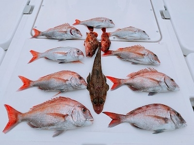 フィシングボートAir(エアー) 釣果