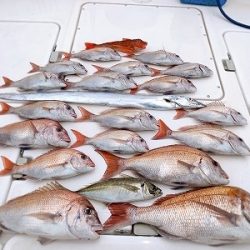 フィシングボートAir(エアー) 釣果