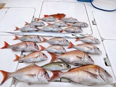 フィシングボートAir(エアー) 釣果