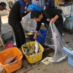 Sea Frend 片山丸 釣果