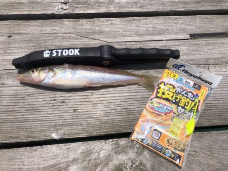 簡単なセット仕掛で癒しのキス釣り！