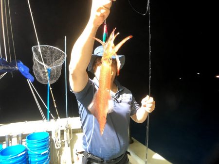 オーシャンズ　京都 釣果