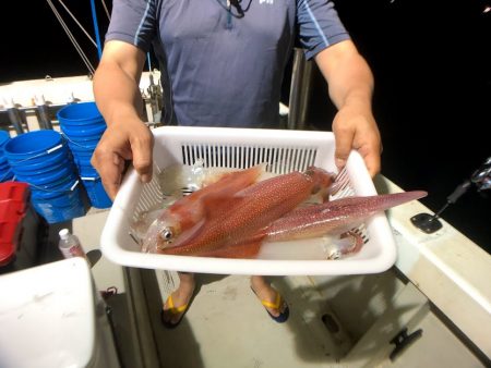 オーシャンズ　京都 釣果
